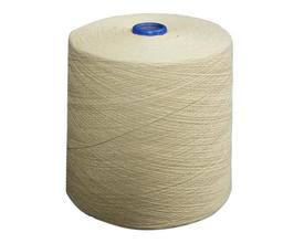 Para-aramid thread