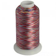 Multicolor embroidery thread